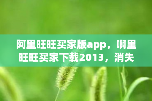 阿里旺旺买家版app,啊里旺旺买家下载2013,消失的订单号,悬案背后藏着谁在呼吸? 阿里旺旺买家版app,啊里旺旺买家下载2013,消失的订单号,悬案背后藏着谁在呼吸?