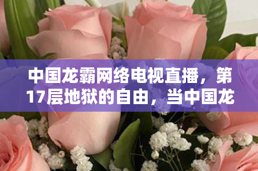 中国龙霸网络电视直播，第17层地狱的自由，当中国龙霸玩家同时成为上帝与囚徒