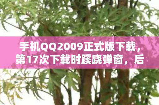 手机QQ2009正式版下载,第17次下载时蹊跷弹窗,后背发凉,十年逃亡竟是场拙劣的独角戏 手机QQ2009正式版下载,第17次下载时蹊跷弹窗,后背发凉,十年逃亡竟是场拙劣的独角戏
