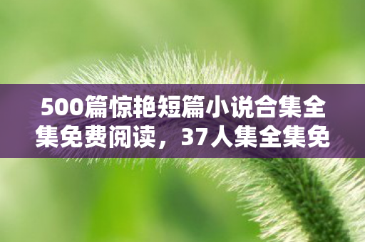 500篇惊艳短篇小说合集全集免费阅读,37人集全集免费阅读疑云,大神萌新齐翻车,老炮我当场绷不住! 500篇惊艳短篇小说合集全集免费阅读,37人集全集免费阅读疑云,大神萌新齐翻车,老炮我当场绷不住!
