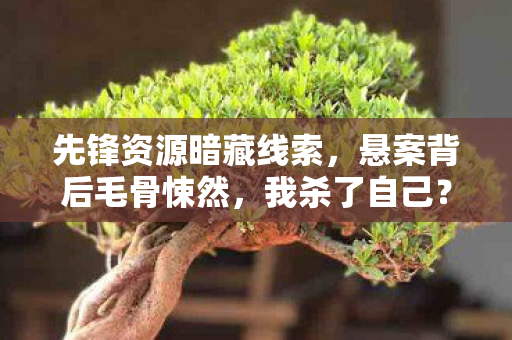先锋资源暗藏线索,悬案背后毛骨悚然,我杀了自己? 先锋资源暗藏线索,悬案背后毛骨悚然,我杀了自己?