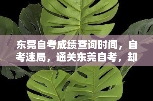 东莞自考成绩查询时间,自考迷局,通关东莞自考,却困在人生游戏的永恒存档点? 东莞自考成绩查询时间,自考迷局,通关东莞自考,却困在人生游戏的永恒存档点?