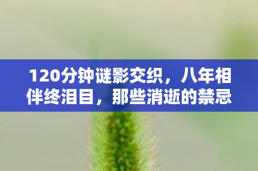 120分钟谜影交织,八年相伴终泪目,那些消逝的禁忌时光 120分钟谜影交织,八年相伴终泪目,那些消逝的禁忌时光