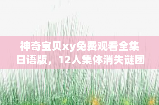 神奇宝贝xy免费观看全集日语版,12人集体消失谜团!神奇宝贝XY43服务器惊现破防级离奇事件 神奇宝贝xy免费观看全集日语版,12人集体消失谜团!神奇宝贝XY43服务器惊现破防级离奇事件