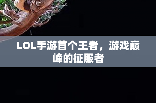 LOL手游首个王者图片
