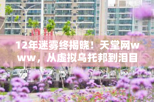 12年迷雾终揭晓!天堂网www,从虚拟乌托邦到泪目终章 12年迷雾终揭晓!天堂网www,从虚拟乌托邦到泪目终章
