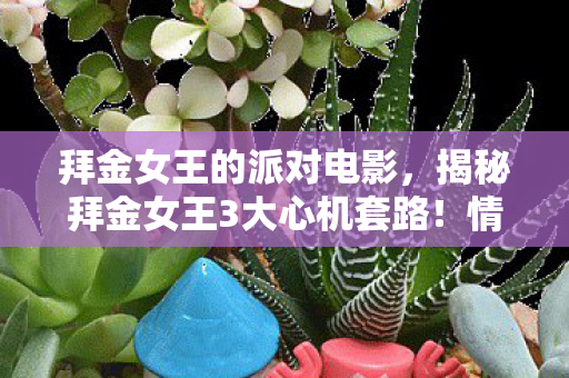拜金女王的派对电影,揭秘拜金女王3大心机套路!情感老手血泪心得+避坑指南 拜金女王的派对电影,揭秘拜金女王3大心机套路!情感老手血泪心得+避坑指南