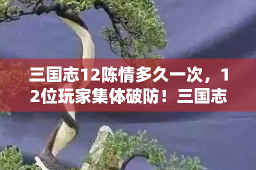 三国志12陈情多久一次,12位玩家集体破防!三国志12陈情系统暗藏时间悖论,策划你绷得住吗? 三国志12陈情多久一次,12位玩家集体破防!三国志12陈情系统暗藏时间悖论,策划你绷得住吗?