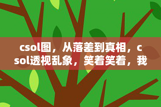 csol图,从落差到真相,csol透视乱象,笑着笑着,我竟哭了 csol图,从落差到真相,csol透视乱象,笑着笑着,我竟哭了