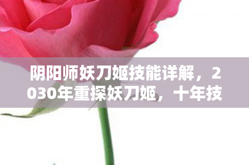 阴阳师妖刀姬技能详解,2030年重探妖刀姬,十年技能迭代,为何仍让百万玩家脊背发凉? 阴阳师妖刀姬技能详解,2030年重探妖刀姬,十年技能迭代,为何仍让百万玩家脊背发凉?