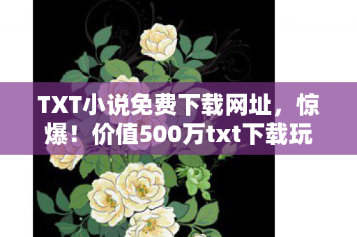 TXT小说免费下载网址，惊爆！价值500万txt下载玩法被砍，背后隐情让人吓一跳！