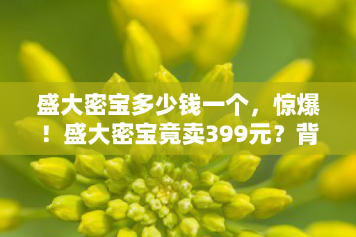 盛大密宝多少钱一个，惊爆！盛大密宝竟卖399元？背后隐情让你吓一跳！