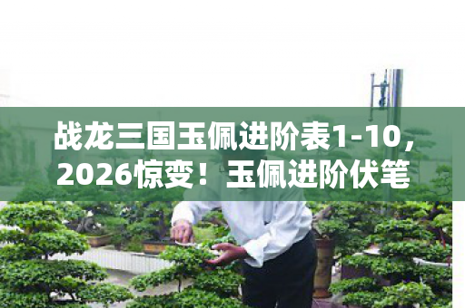 战龙三国玉佩进阶表1-10,2026惊变!玉佩进阶伏笔藏,旧情如刃鼻一酸 战龙三国玉佩进阶表1-10,2026惊变!玉佩进阶伏笔藏,旧情如刃鼻一酸