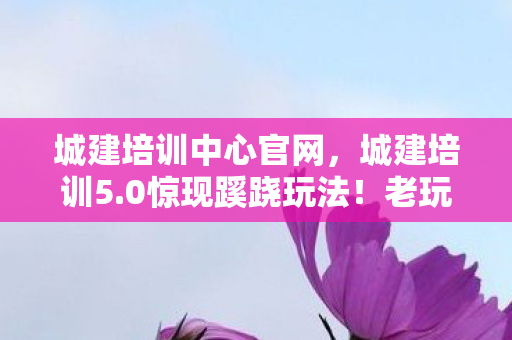 城建培训中心官网,城建培训5.0惊现蹊跷玩法!老玩家直呼这波血赚 城建培训中心官网,城建培训5.0惊现蹊跷玩法!老玩家直呼这波血赚