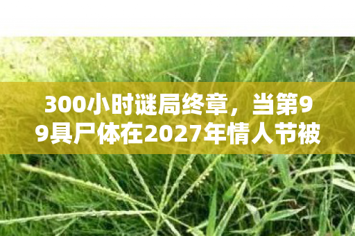300小时谜局终章，当第99具尸体在2027年情人节被验明正身