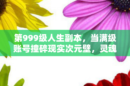 第999级人生副本，当满级账号撞碎现实次元壁，灵魂在虚空中裂成两半