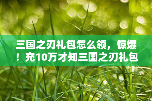 三国之刃礼包怎么领，惊爆！充10万才知三国之刃礼包暗藏吸血链，玩家血泪控诉！