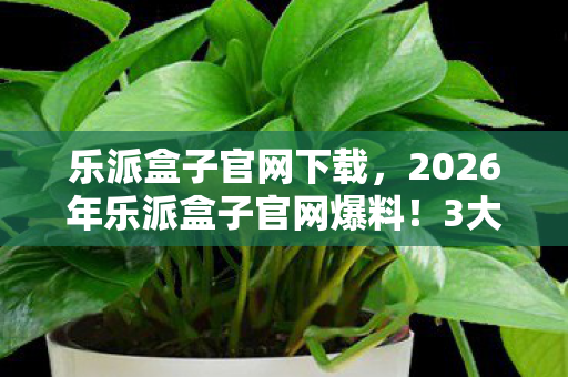乐派盒子官网下载,2026年乐派盒子官网爆料!3大黑科技将颠覆你的娱乐体验? 乐派盒子官网下载,2026年乐派盒子官网爆料!3大黑科技将颠覆你的娱乐体验?