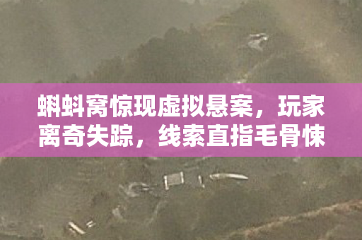 蝌蚪窝惊现虚拟悬案,玩家离奇失踪,线索直指毛骨悚然真相 蝌蚪窝惊现虚拟悬案,玩家离奇失踪,线索直指毛骨悚然真相