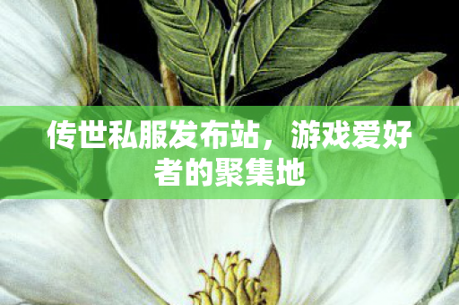 游戏爱好者的聚集地图片