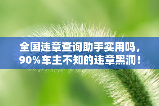 全国违章查询助手实用吗,90%车主不知的违章黑洞!你的分可能正被隐形扣分王吞噬 全国违章查询助手实用吗,90%车主不知的违章黑洞!你的分可能正被隐形扣分王吞噬