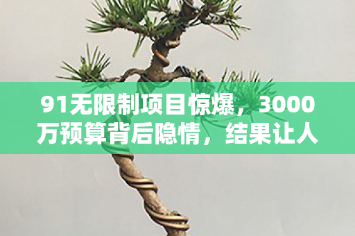 91无限制项目惊爆,3000万预算背后隐情,结果让人吓一跳! 91无限制项目惊爆,3000万预算背后隐情,结果让人吓一跳!