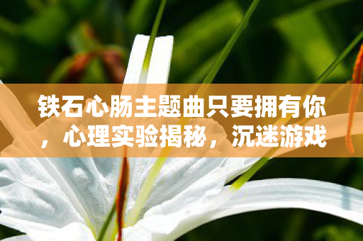 铁石心肠主题曲只要拥有你,心理实验揭秘,沉迷游戏再来一局的细思极恐陷阱 铁石心肠主题曲只要拥有你,心理实验揭秘,沉迷游戏再来一局的细思极恐陷阱