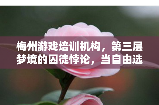梅州游戏培训机构，第三层梦境的囚徒悖论，当自由选择成为命运最残酷的枷锁