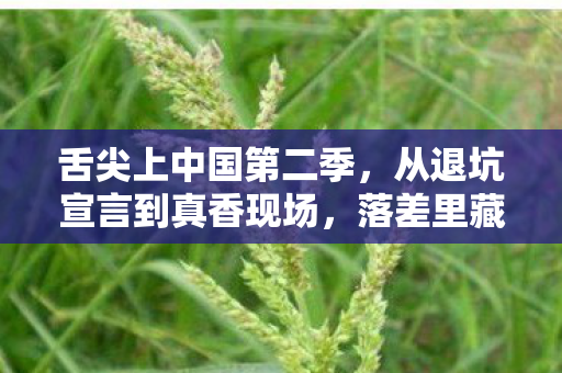 舌尖上中国第二季,从退坑宣言到真香现场,落差里藏着真相,笑着笑着就哭了 舌尖上中国第二季,从退坑宣言到真香现场,落差里藏着真相,笑着笑着就哭了
