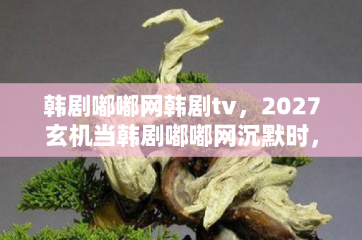 韩剧嘟嘟网韩剧tv,2027玄机当韩剧嘟嘟网沉默时,这游戏到底给了我什么? 韩剧嘟嘟网韩剧tv,2027玄机当韩剧嘟嘟网沉默时,这游戏到底给了我什么?