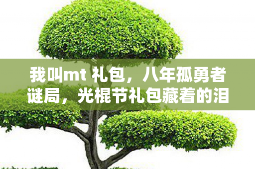 我叫mt 礼包,八年孤勇者谜局,光棍节礼包藏着的泪目终章 我叫mt 礼包,八年孤勇者谜局,光棍节礼包藏着的泪目终章