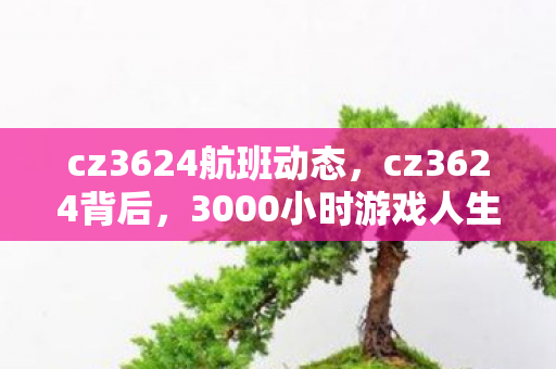 cz3624航班动态,cz3624背后,3000小时游戏人生,谁懂这代玩家的孤独与坚守? cz3624航班动态,cz3624背后,3000小时游戏人生,谁懂这代玩家的孤独与坚守?