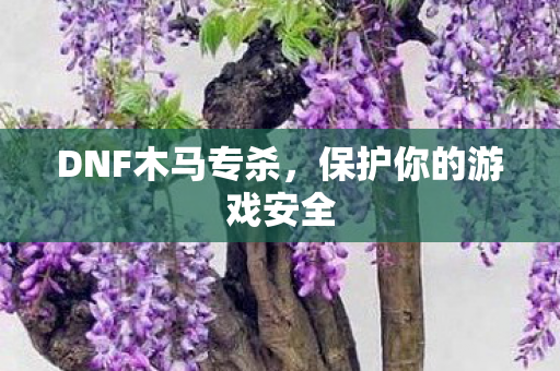 保护你的游戏安全图片