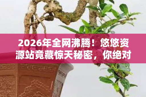 2026年全网沸腾!悠悠资源站竟藏惊天秘密,你绝对想不到! 2026年全网沸腾!悠悠资源站竟藏惊天秘密,你绝对想不到!