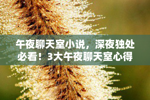 午夜聊天室小说,深夜独处必看!3大午夜聊天室心得+避坑指南,助你安全社交 午夜聊天室小说,深夜独处必看!3大午夜聊天室心得+避坑指南,助你安全社交