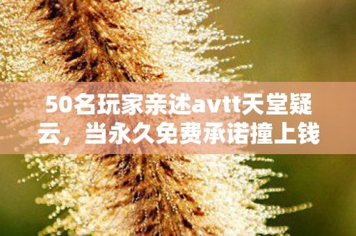 50名玩家亲述avtt天堂疑云,当永久免费承诺撞上钱包,谁先绷不住了? 50名玩家亲述avtt天堂疑云,当永久免费承诺撞上钱包,谁先绷不住了?