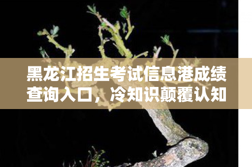 黑龙江招生考试信息港成绩查询入口,冷知识颠覆认知!玩了十年竟不知黑龙江查分隐藏玄机,目瞪口呆! 黑龙江招生考试信息港成绩查询入口,冷知识颠覆认知!玩了十年竟不知黑龙江查分隐藏玄机,目瞪口呆!