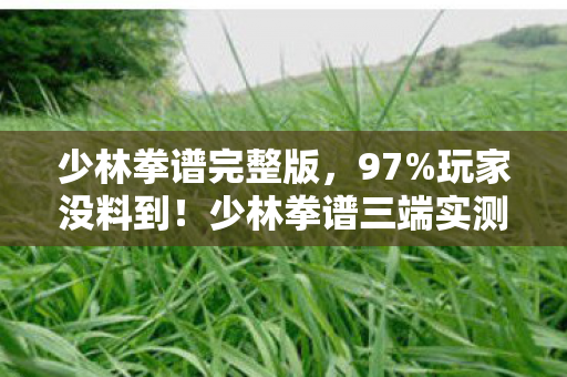 少林拳谱完整版,97%玩家没料到!少林拳谱三端实测,手机搓招像打太极,主机竟能打出真气? 少林拳谱完整版,97%玩家没料到!少林拳谱三端实测,手机搓招像打太极,主机竟能打出真气?