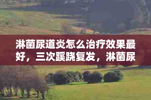 淋菌尿道炎怎么治疗效果最好,三次蹊跷复发,淋菌尿道炎背后真相让人后背发凉! 淋菌尿道炎怎么治疗效果最好,三次蹊跷复发,淋菌尿道炎背后真相让人后背发凉!