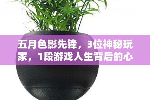 五月色影先锋,3位神秘玩家,1段游戏人生背后的心酸独白 五月色影先锋,3位神秘玩家,1段游戏人生背后的心酸独白