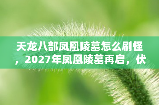天龙八部凤凰陵墓怎么刷怪,2027年凤凰陵墓再启,伏笔深埋旧情,鼻子一酸忆往昔 天龙八部凤凰陵墓怎么刷怪,2027年凤凰陵墓再启,伏笔深埋旧情,鼻子一酸忆往昔