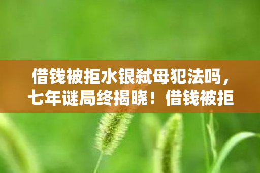 借钱被拒水银弑母犯法吗,七年谜局终揭晓!借钱被拒后水银弑母,真相竟让百万玩家泪目 借钱被拒水银弑母犯法吗,七年谜局终揭晓!借钱被拒后水银弑母,真相竟让百万玩家泪目