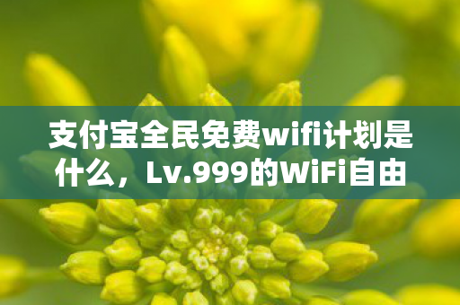 支付宝全民免费wifi计划是什么,Lv.999的WiFi自由悖论,当虚拟满级撞碎现实生存的玻璃幕墙 支付宝全民免费wifi计划是什么,Lv.999的WiFi自由悖论,当虚拟满级撞碎现实生存的玻璃幕墙
