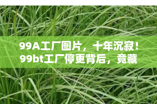 99A工厂图片,十年沉寂!99bt工厂停更背后,竟藏着颠覆认知的终极真相? 99A工厂图片,十年沉寂!99bt工厂停更背后,竟藏着颠覆认知的终极真相?