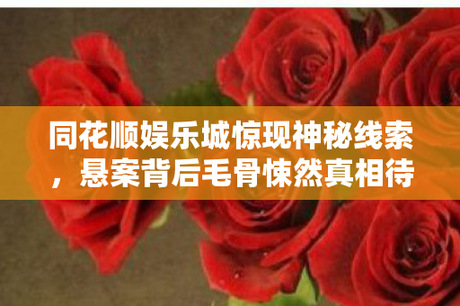 同花顺娱乐城惊现神秘线索,悬案背后毛骨悚然真相待解 同花顺娱乐城惊现神秘线索,悬案背后毛骨悚然真相待解