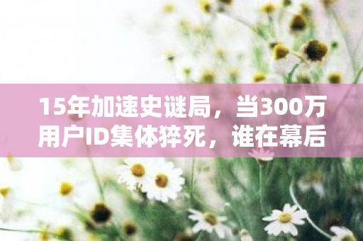 15年加速史谜局,当300万用户ID集体猝死,谁在幕后按下暂停键? 15年加速史谜局,当300万用户ID集体猝死,谁在幕后按下暂停键?