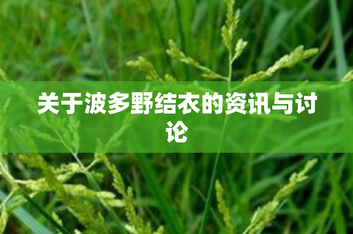 关于波多野结衣的资讯与讨论图片