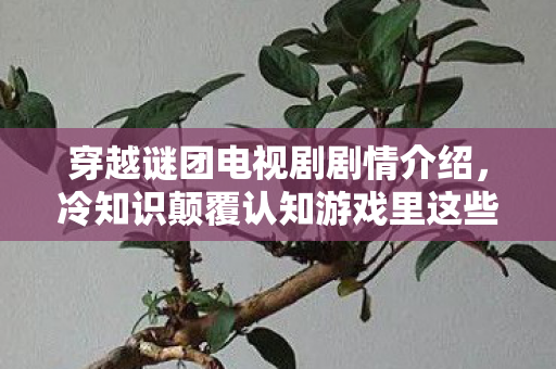 穿越谜团电视剧剧情介绍,冷知识颠覆认知游戏里这些理所当然的设计,竟藏着目瞪口呆的惊天秘密! 穿越谜团电视剧剧情介绍,冷知识颠覆认知游戏里这些理所当然的设计,竟藏着目瞪口呆的惊天秘密!