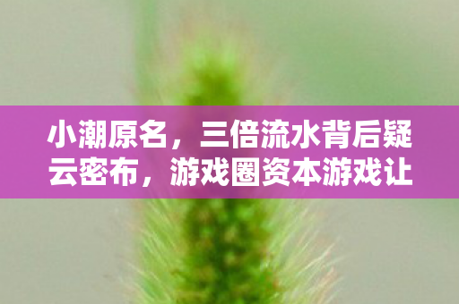 小潮原名,三倍流水背后疑云密布,游戏圈资本游戏让玩家心寒至极 小潮原名,三倍流水背后疑云密布,游戏圈资本游戏让玩家心寒至极
