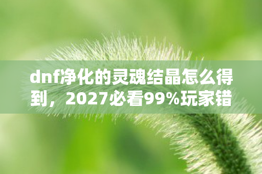 dnf净化的灵魂结晶怎么得到，2027必看99%玩家错过的灵魂结晶速刷法！手残党亲测3天爆肝心得